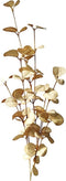 Eucalyptus bladeren 70cm old white
