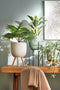Mica Decorations Ascot - Plantenstandaard - L21 x B21 x H35 cm - Metaal - Zwart