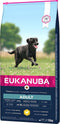 Eukanuba Dog Adult Large Breed - Kip - Hondenvoer - 15 kg