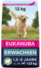 Eukanuba Dog Adult Large Breed Lam/Rice - 12 KG