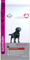 Eukanuba Dog Labrador Retriever - 12 KG