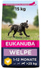 Eukanuba Growing Puppy Large Breed Kip - Hondenvoer - 15 kg