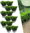 Euonymus 'Green Spire' - 72 x Ø 7 cm - ↨ 15 cm
