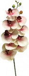 Euphorbia fulgens orange 81 cm kunstbloem