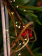 EUROLITE kerstverlichting buiten warm wit - LED lichtsnoer - 500 lampjes