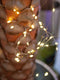 EUROLITE kerstverlichting buiten warm wit - LED lichtsnoer - 500 lampjes