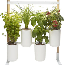 Prêt à Pousser Modulo 2 (incl. 4 pods)