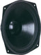 Visaton WS 25 E - Woofer 25cm - 8 Ohm - Zwart