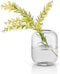 Eva Solo - Acorn Vaas 16,5 cm Clear - Glas - Transparant