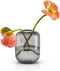 Eva Solo - Acorn Vaas 16,5 cm Stone - Glas - Grijs