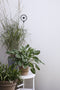 Eva Solo - Outdoor Thermometer met Grondspies - Kunststof - Zwart -