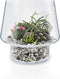 Eva Solo - Succulent Vaas 21cm - Glas - Transparant