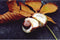Paardenkastanje Aesculus hippocastanum h 350 cm st. omtrek 12 cm