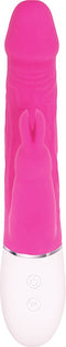 Eve’s roze rabbit vibrator Adam & Eve