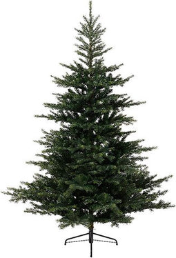 Everlands Grandis Fir Green - 360 cm