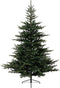 Everlands Grandis Fir Green - 360 cm
