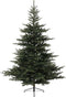 Everlands Grandis Fir kunstkerstboom 150 cm - zonder verlichting