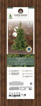 Everlands Grandis Fir Kunstkerstboom - 180 cm - 400 LED - 1564 Takken
