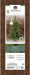 Everlands Grandis Fir Kunstkerstboom - 180 cm - 400 LED - 1564 Takken