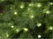 Everlands Grandis Fir Kunstkerstboom - 180 cm - 400 LED - 1564 Takken