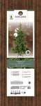 Everlands Grandis Fir Kunstkerstboom - Kerstboom - 210 cm - 550 LED