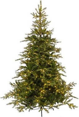 Everlands Grandis Fir LED - 240 cm