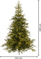 Everlands Grandis Fir LED - 240 cm