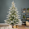 Everlands Grandis Fir Prelit Snowy Groen - Kerstboom - Ø152xH210 cm 550 Led