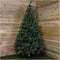 Everlands Imperial Pine Kunstkerstboom - 210 cm - zonder verlichting