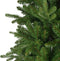 Everlands Killington Fir - 300 cm