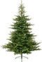 Everlands Kunstkerstbomen Grandis Fir - 270 cm