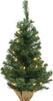 Everlands - Mini Kerstboom - 60cm - Inc. verlichting