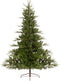 Everlands Serbian Spruce Green - 180 cm