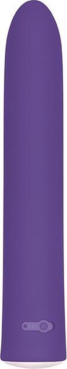 Evolved Rechargeable Slim Bullet Paars