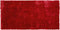 EVREN - Shaggy vloerkleed - Rood - 80 x 150 cm - Polyester