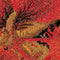Thea Gouverneur - Borduurpakket met telpatroon - 492A - Voorgesorteerde DMC Garens - Oost-Indische Kers - Aida - 15 cm x 14 cm - DIY Kit