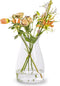 Vaas 'romeo' h30 d18 cm