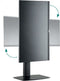 Ewent EW1537 flat panel bureau steun 81,3 cm (32