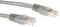 Ewent OEM CAT5e Networking Cable 2 Meter Grey