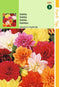 2 stuks Dahlia Variabilis Unwin S Hybride Gemengd