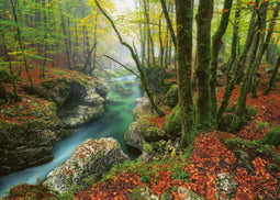 Heye 30091 - Puzzel Little Brook 1000 stukjes - Magic Forest - 50 x 70 cm