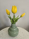 Holland tulp bundel Sally x3 25cm geel