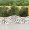 vidaXL - Schanskorven - 4 - st - gewelfd - 200x50x60/80 - cm - gegalvaniseerd - ijzer