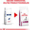 Royal Canin Veterinary Diet Renal - Hondenvoer - 2 kg