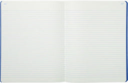 Exacompta registers, ft 32 x 25 cm, gelijnd, gefolieerd, 80 bladzijden