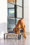 Designed by Lotte Karinto - Dinerset Hond - Hout/metaal - incl. 2 RVS bakjes - 56x28x18 cm