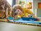LEGO® City Achtervolging met Politieboot - Drijft Echt - 264 onderdelen