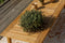Exotan Loungeset Buiten Lucca - Teak - Naturel - 68x222x222