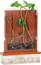 Experimenten - Planten Doolhof, 21dlg.