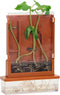 Experimenten - Planten Doolhof, 21dlg.